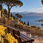 Cote d azur im winter, mimosa jaune et mer calme, banc humide près de la terrasse