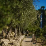 Promenade canal de gairaut : oliviers et vue sur la mer, vers la cascade
