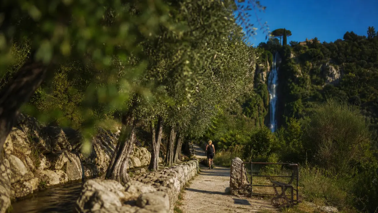 Promenade canal de gairaut : oliviers et vue sur la mer, vers la cascade